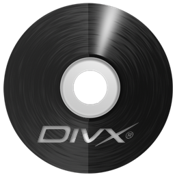 Vinyl CD Divx Icon 256x256 png